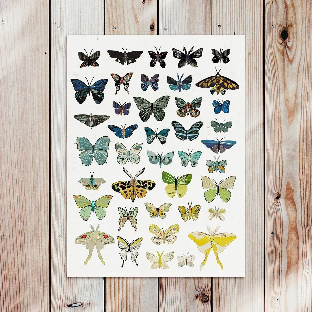 BUTTERFLIES original paper collage